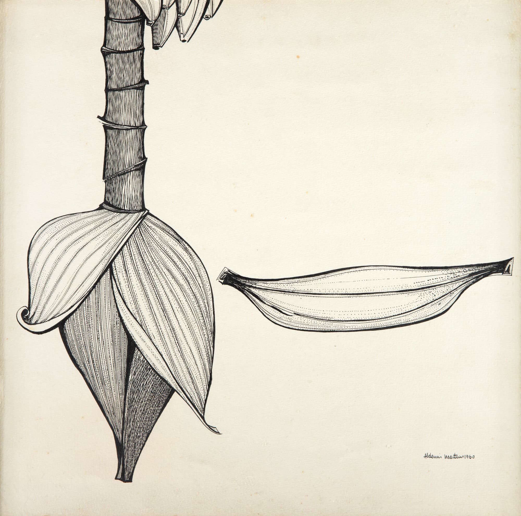 Banana Com Mangará — Aldemir Martins