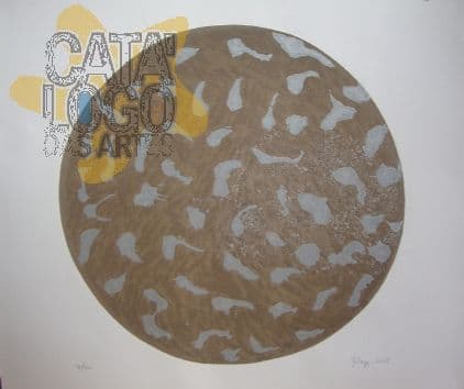Sem Título — Marcos Coelho Benjamim, 2006