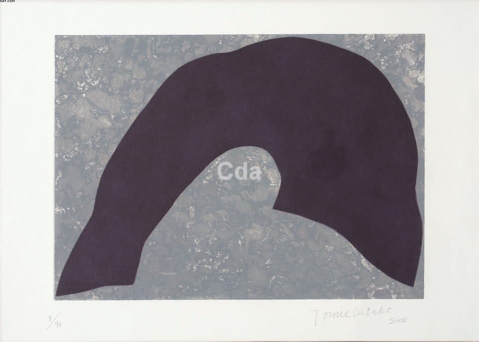 Sem título — Tomie Ohtake, 2008