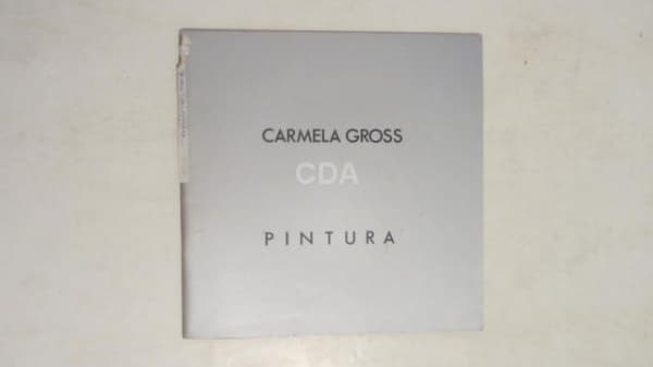 Carmela Gross Pintura/ desenho . São Paulo Mac/Usp 1987.Texto Ana Mae Barbosa 36 pp. 21 x 21 cm. — Não identificado