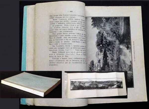 "Biologia das Abelhas Melliferas do Brasil", Hermann von Ihering, artigo in Boletim de Agri — Não identificado