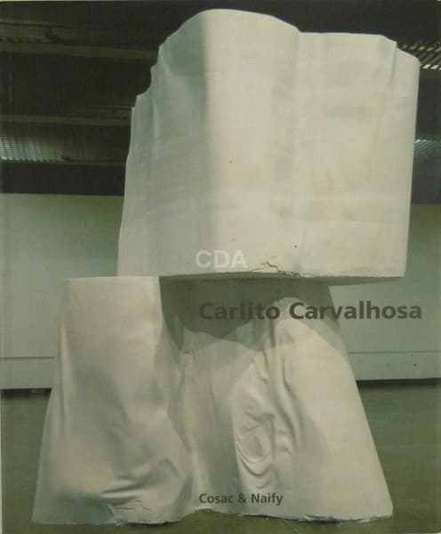Carlito Carvalhosa | Lorenzo Mammi et al | Cosac e Naify | 176pag — Não identificado