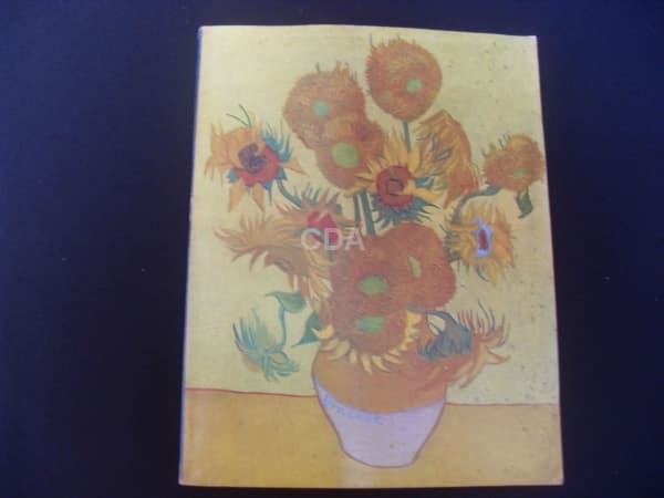 Livro Vincente van Gogh — Não identificado