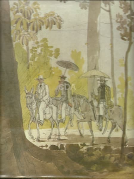 Livro: FERREZ, Gilberto. O Brasil de Thomas Ender 1817. Prefácio de Francisco de Assis Barbosa. Rio — Não identificado