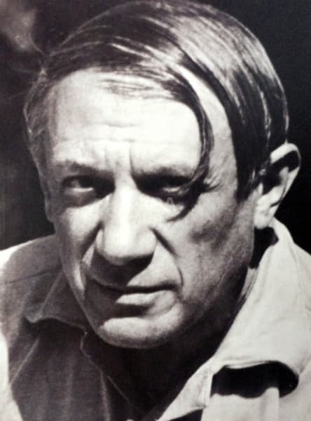 Dominique Dupuis-Labbé (Organização) - Picasso na Oca - Uma restrospectiva - Livro - Brochura. Forma — Não identificado