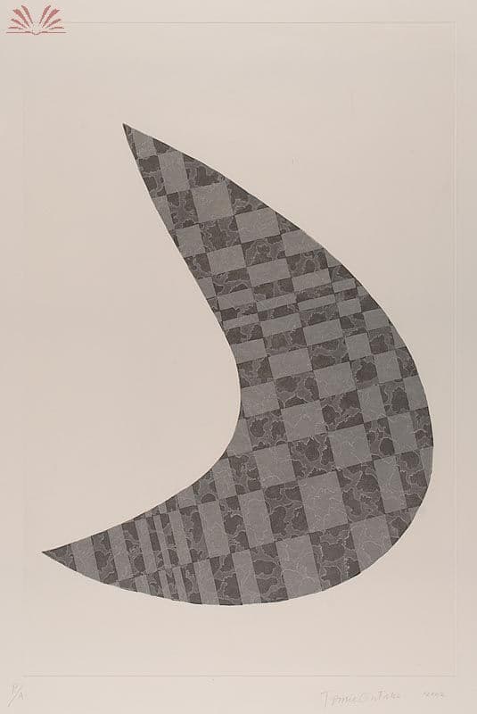 s/t — Tomie Ohtake, 2002