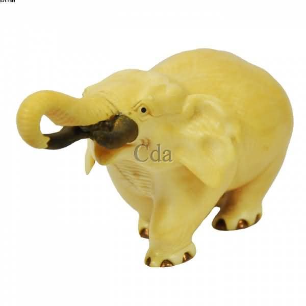 Elefante — Não identificado
