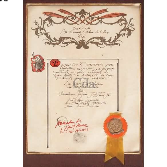 Certificado da ordem do olho - SEM ASSINATURA — Wesley Duke Lee