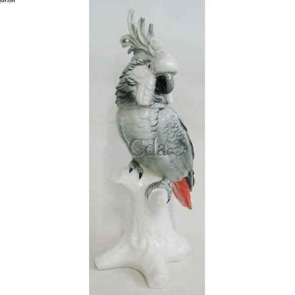 Cacatua sobre tronco — Não identificado