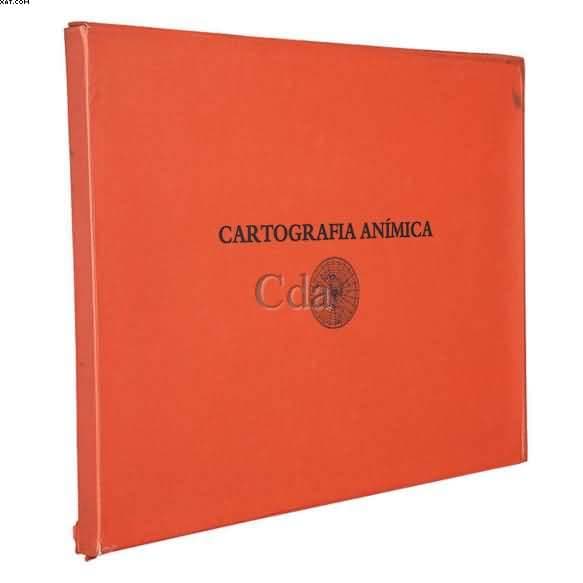 Cartografia Anímica — Wesley Duke Lee, 1980