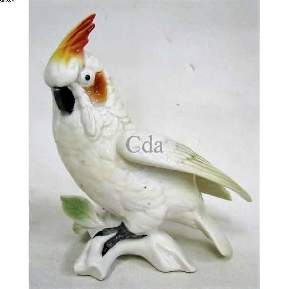 Cacatua sobre tronco — Não identificado
