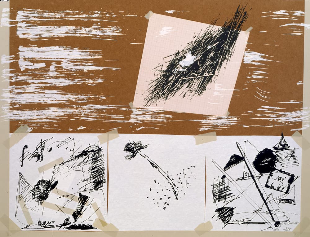 Sem Título — Artur Barrio, 1993