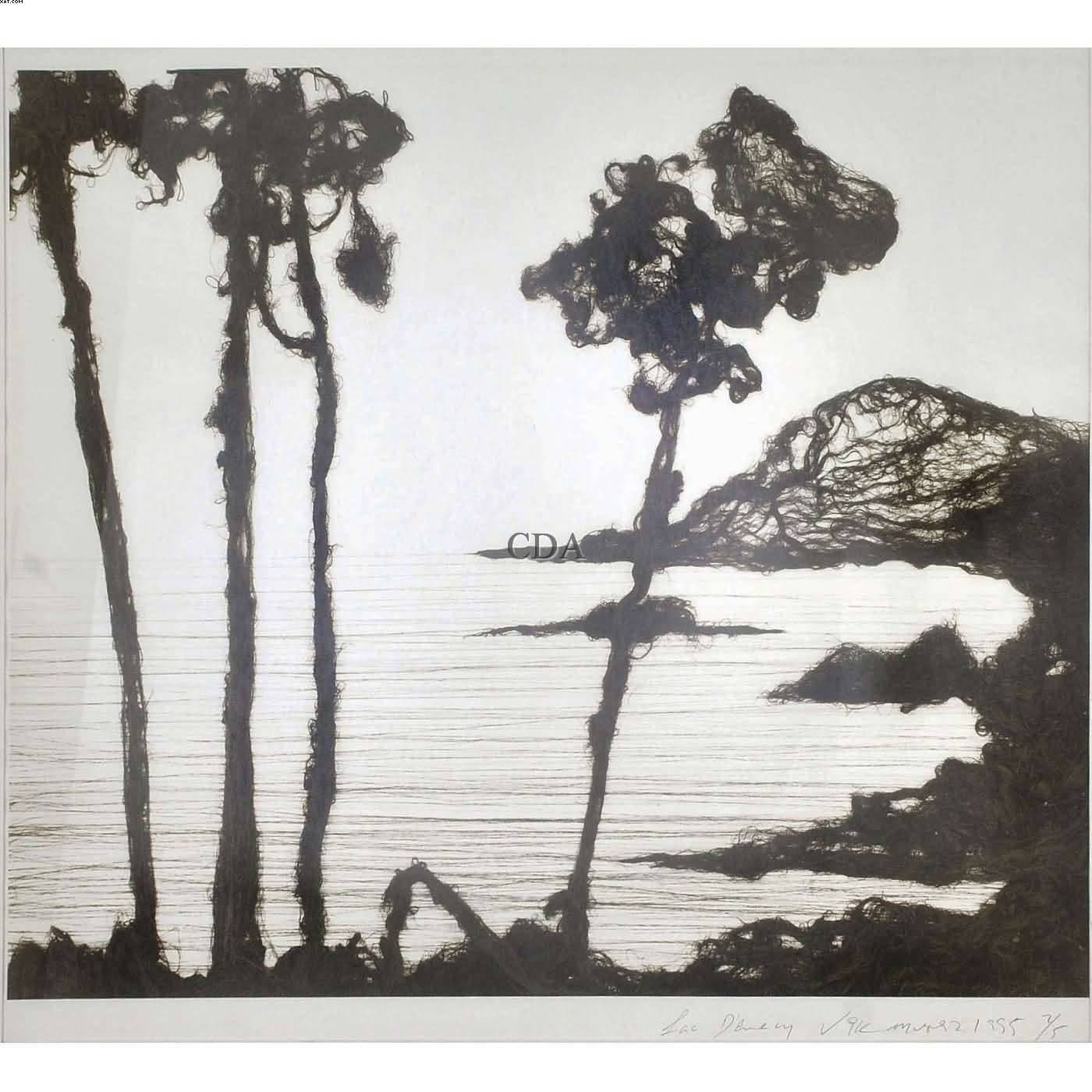 972 metros (Lago de Annecy) — Vik Muniz