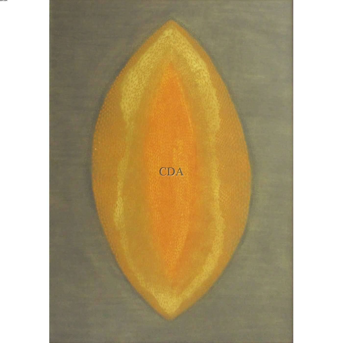 Cosmos Jaune — Arthur Luiz Piza, 1972