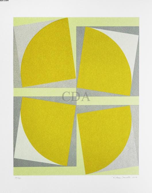 Sem Título — Rubens Vaz Ianelli, 2010