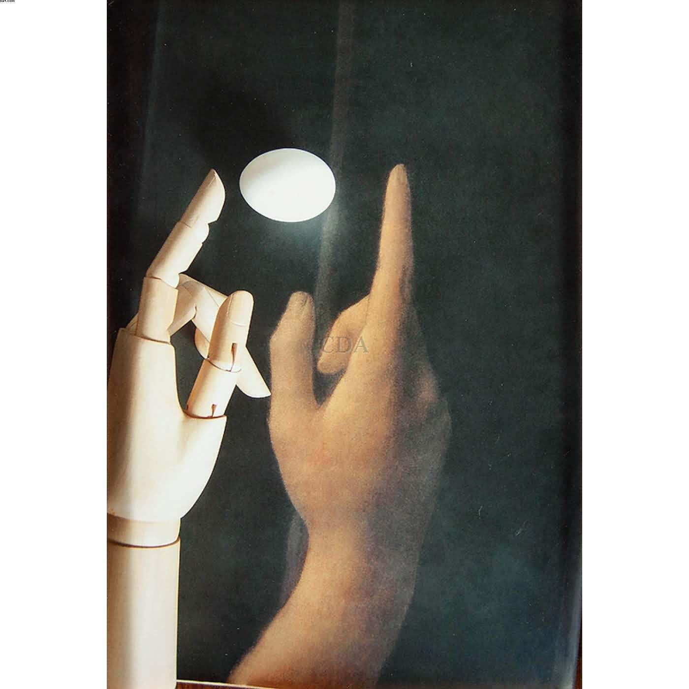 Sem Título — Anna Maria Maiolino, 2007