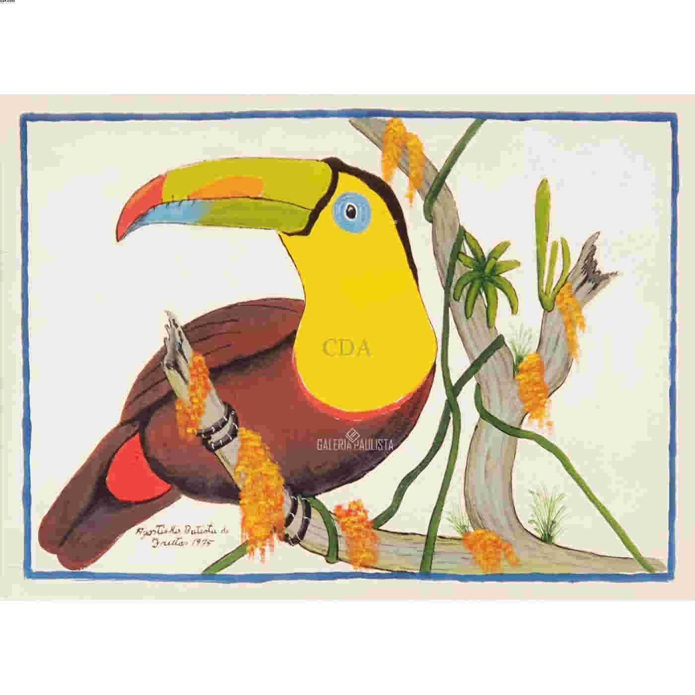 Tucano — Agostinho Batista de Freitas