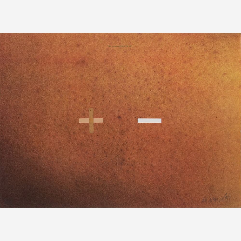 The illustration of art — Antônio Dias