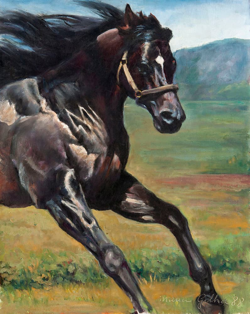 Cavalo — Maria Gilka, 1988