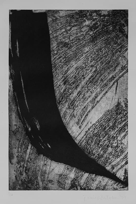 Sem Título — Tomie Ohtake, 1993
